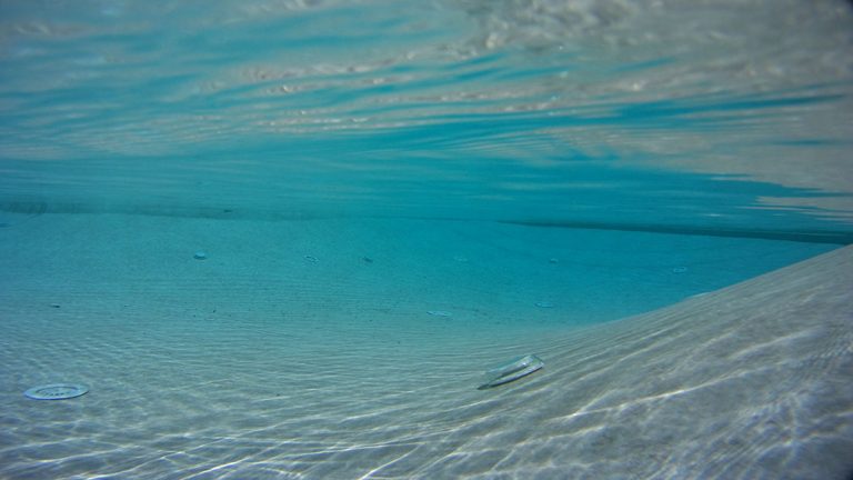 Krásny vonkajší bazén s prelivom, murovaný so skimmerom z 3D fólie SUBLIME ALKORPLAN touch podľa projektovej dokumentácie